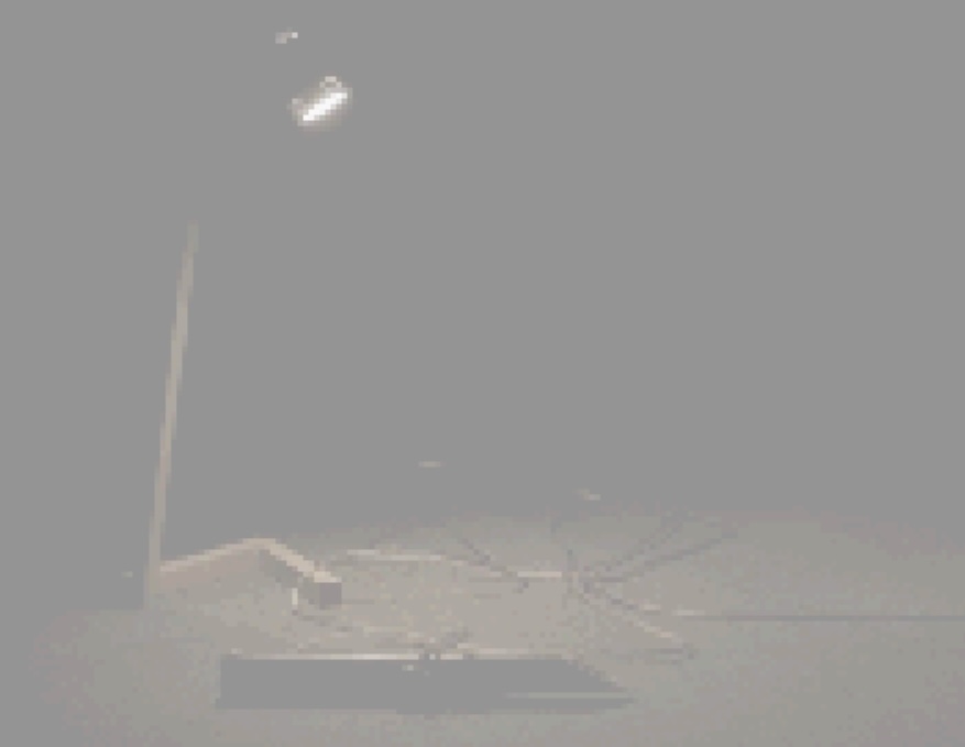 my work photo.A diagonally cut piece of bamboo with a vibration speaker attached is lying on the ground, illuminated by a spotlight.